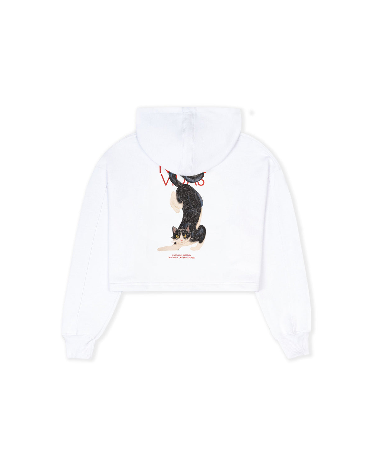 HOODIE CROP OVERSIZE MEOWS  AND MIRACLES BLANCO