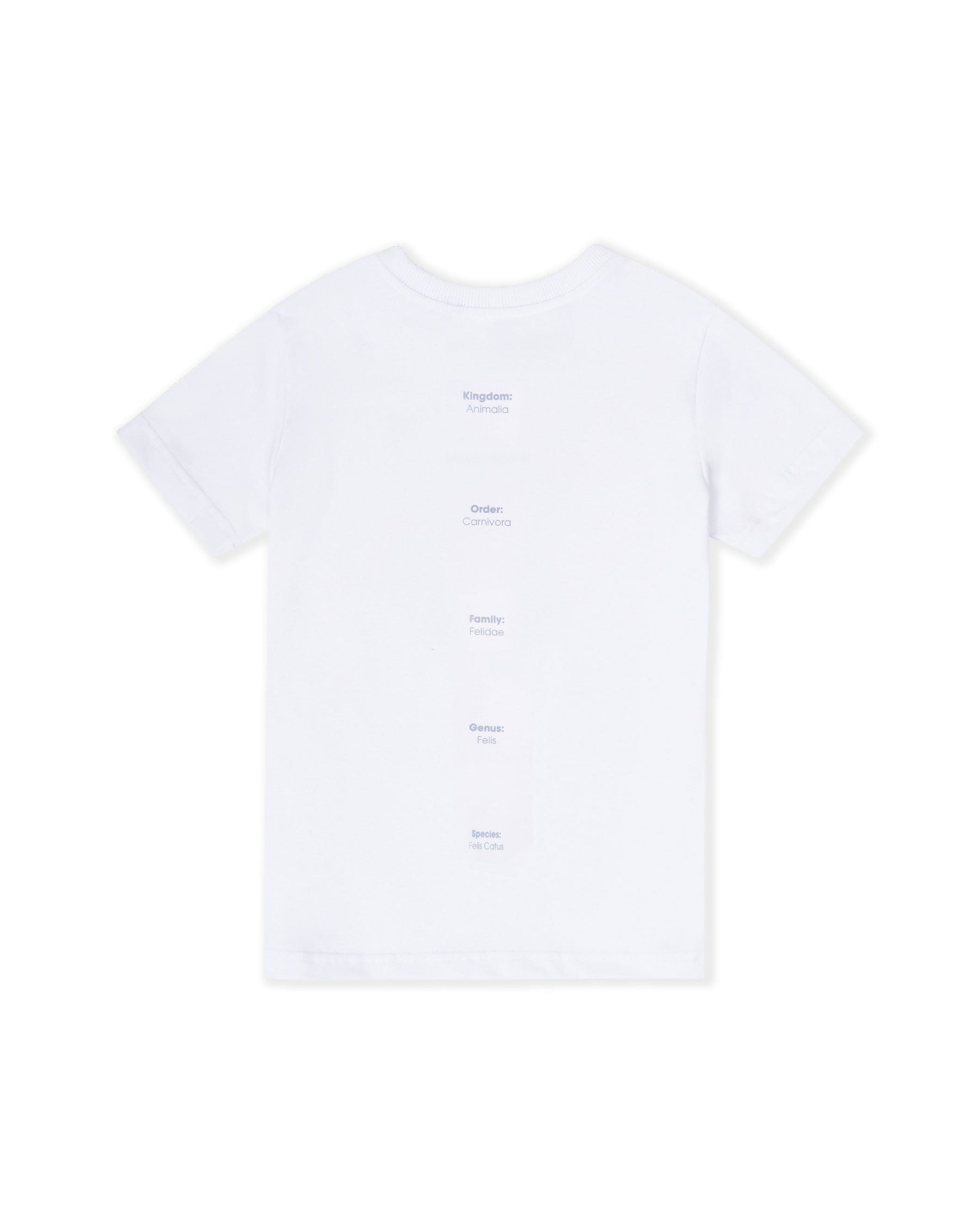 WOMEN'S SLIM T-SHIRT MIND YOUR STEP:CAT TERRITORY WHITE