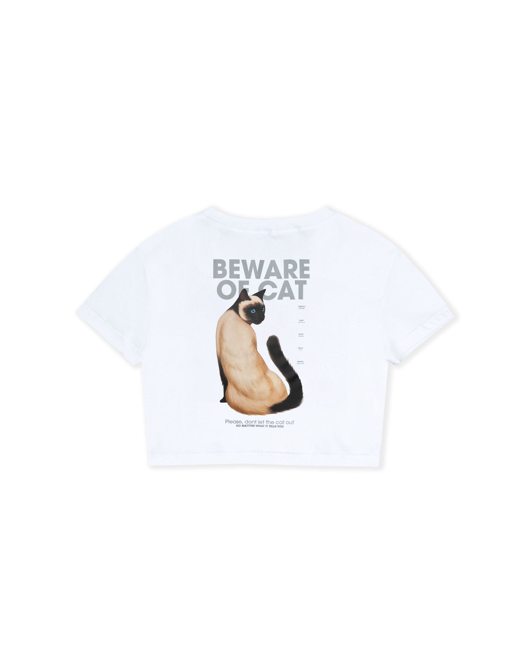 GRAPHIC TEE ROAMING NIGHTS WHITE T-SHIRT