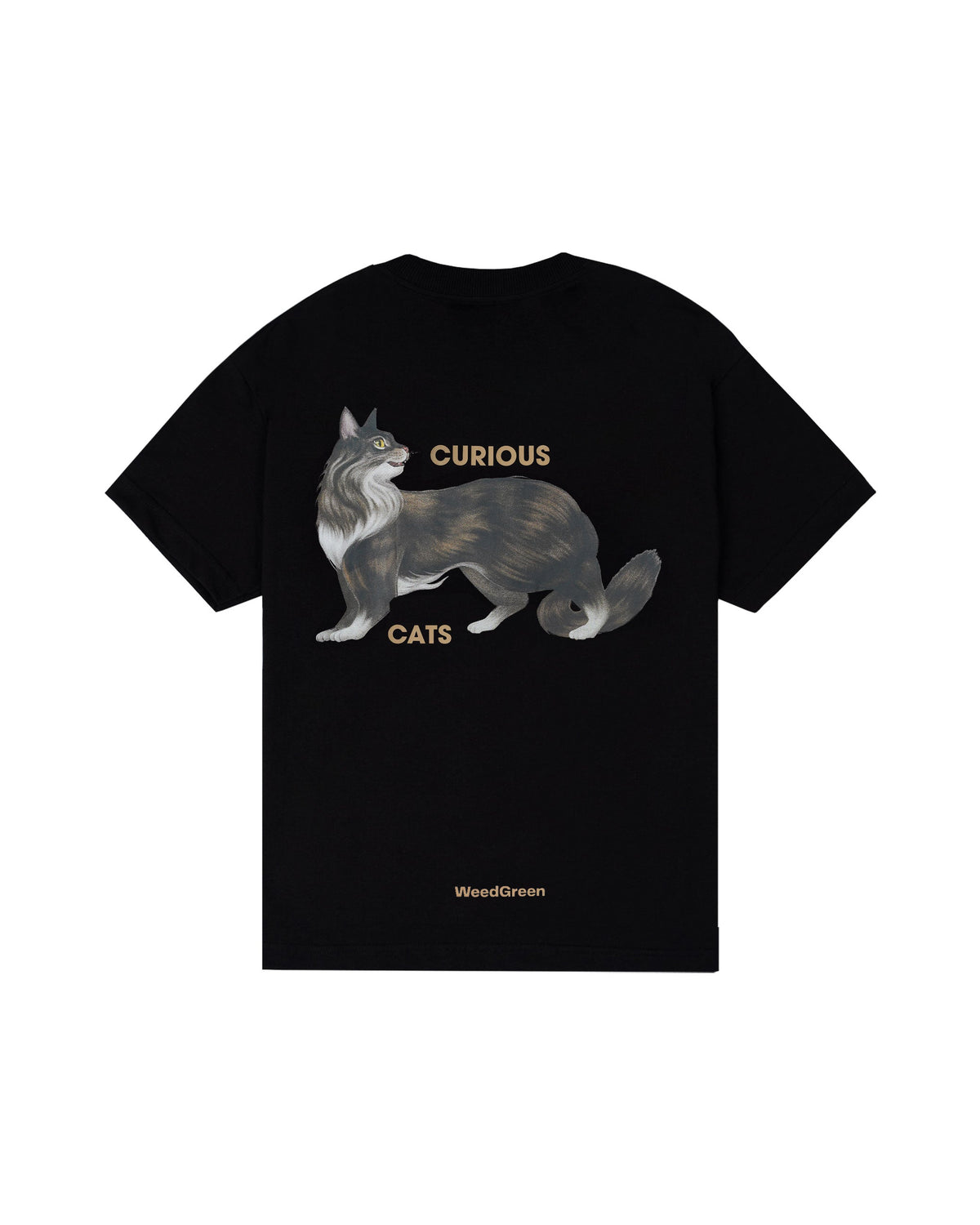 CUNNING CURIOSITY BLACK BOX T-SHIRT