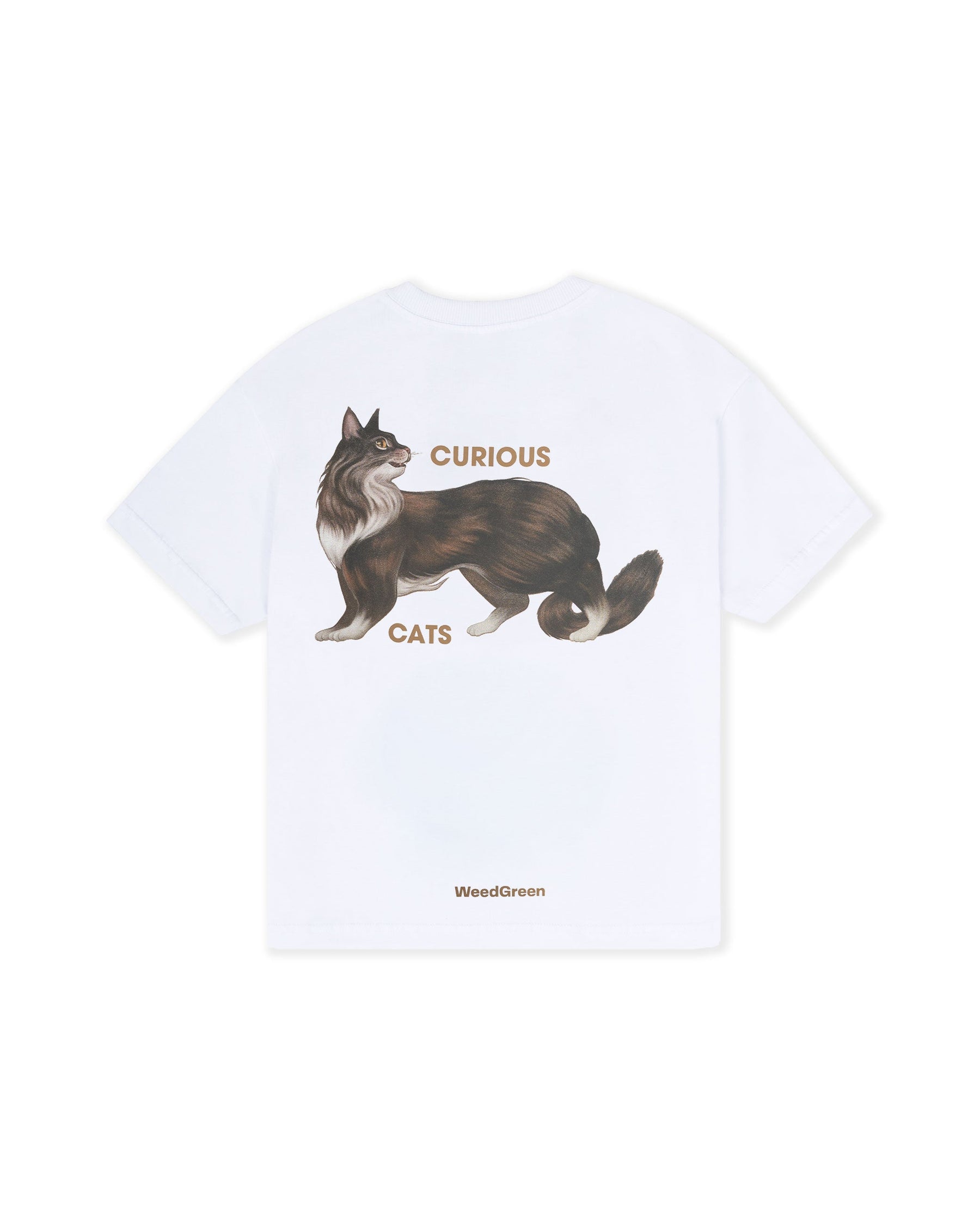 CUNNING CURIOSITY WHITE BOX T-SHIRT