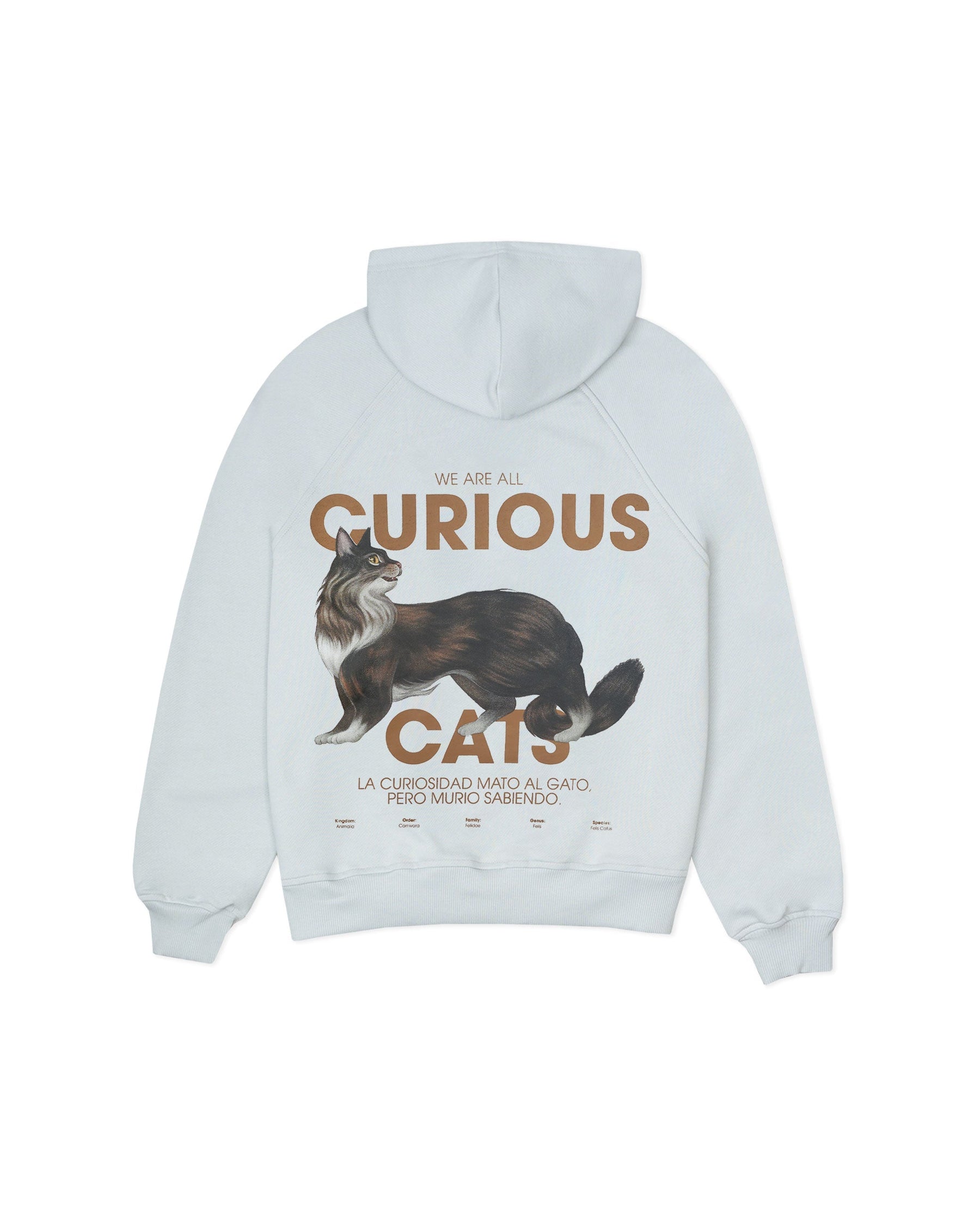 NOSY PAWS GRAY HOODIE