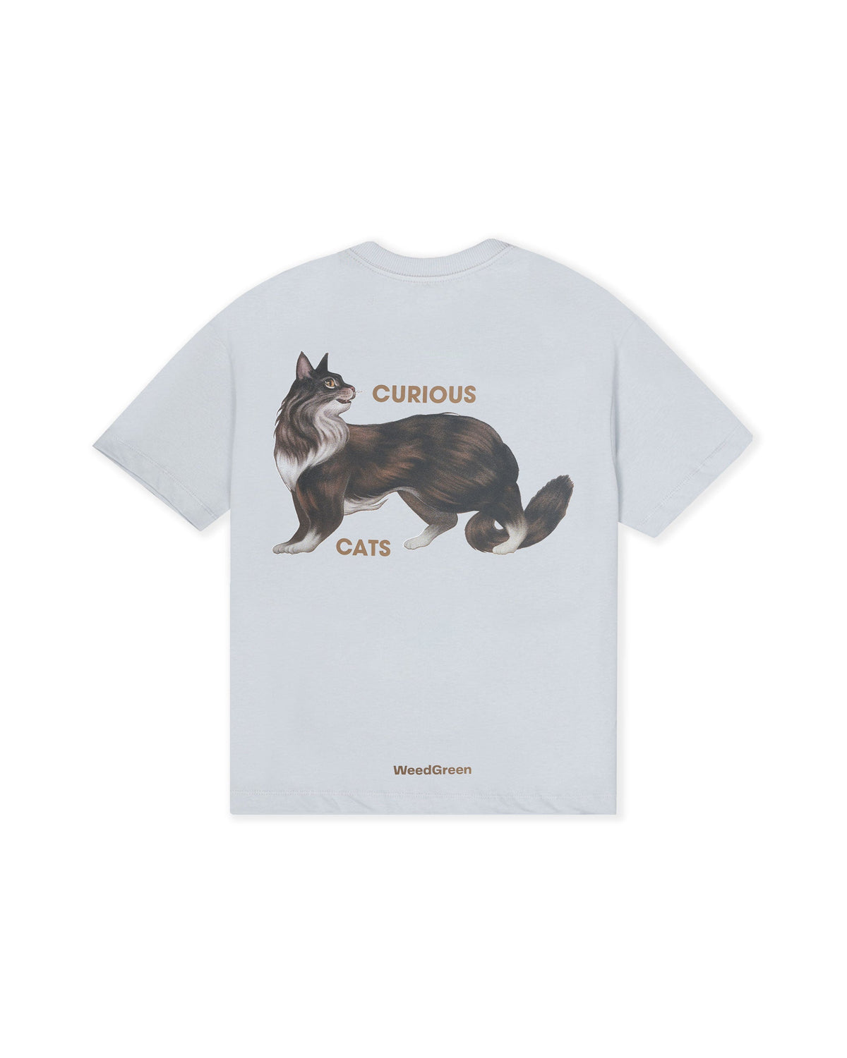 CAMISETA BOX CUNNING CURIOSITY GRIS