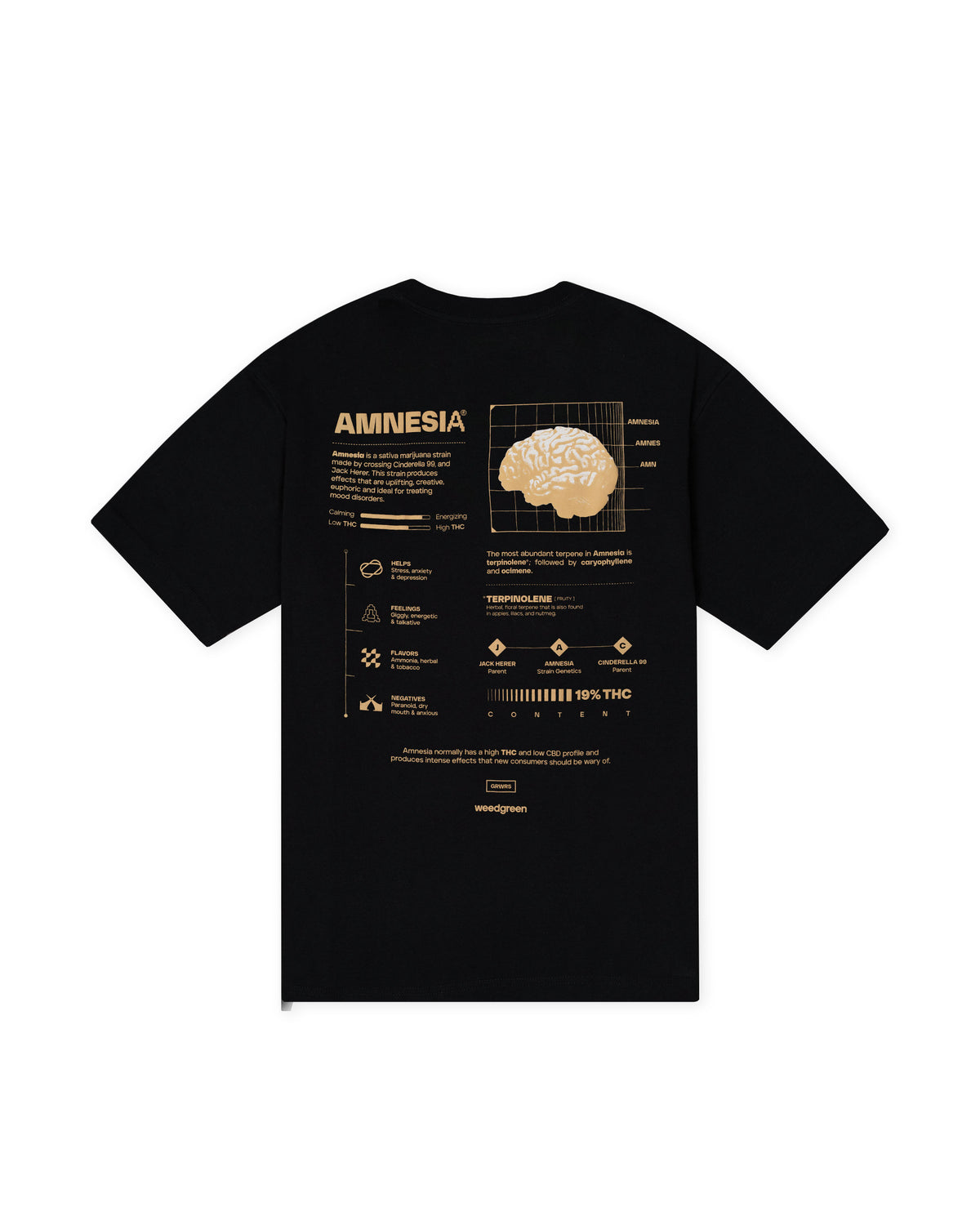 CAMISETA OVERSIZE AMNESIA CORTEX NEGRO