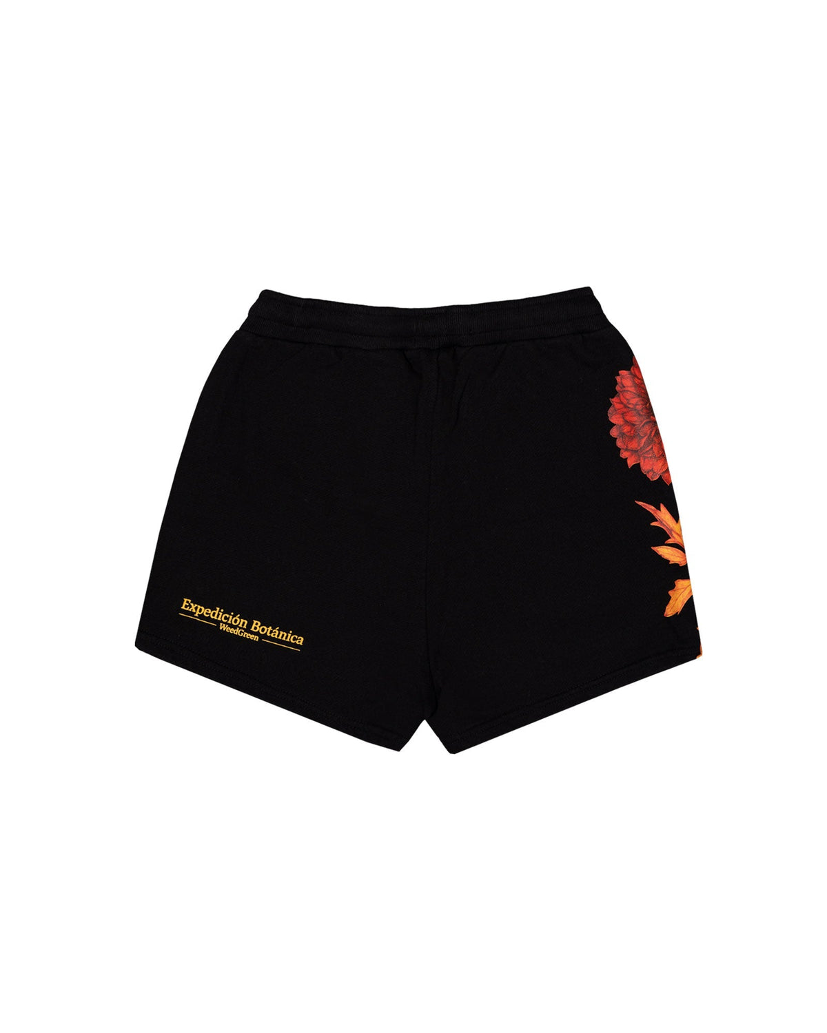 DAHLIA BLACK STRAIGHT SHORTS