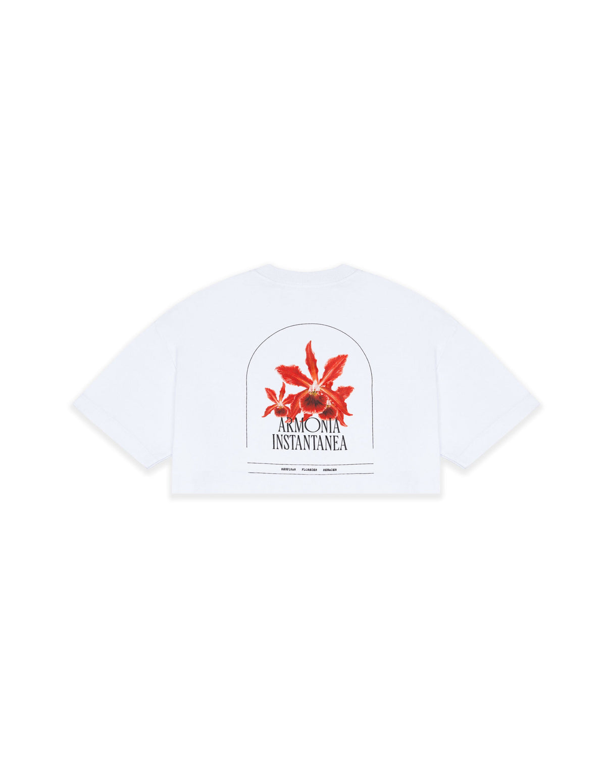 camiseta crop HARMONY BLOOM BLANCO