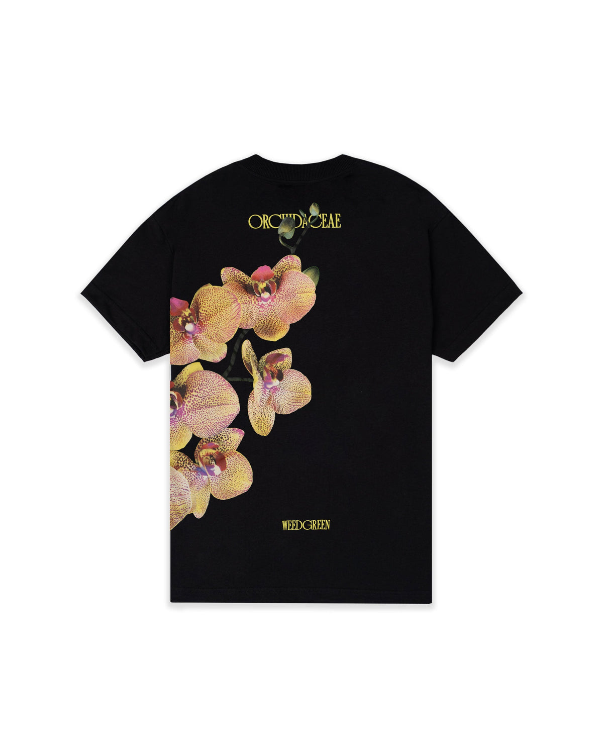 CAMISETA MYSTICAL ORCHID NEGRO