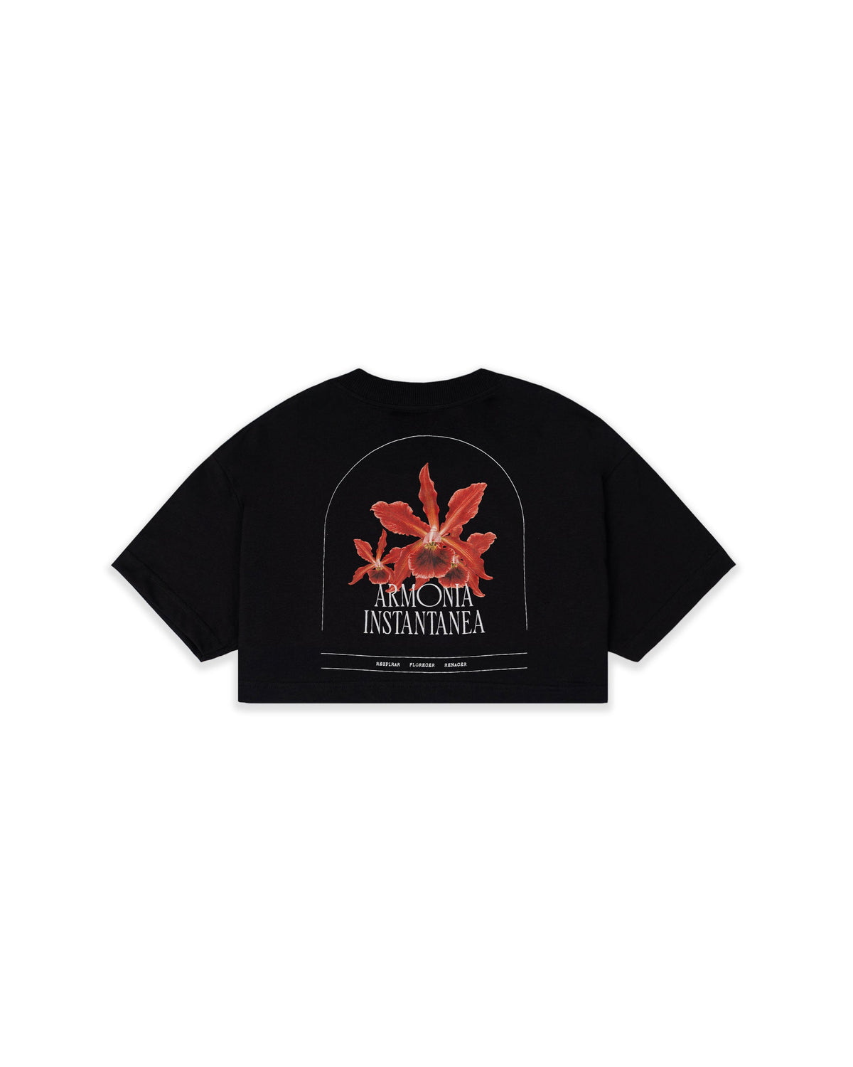 camiseta crop HARMONY BLOOM NEGRO