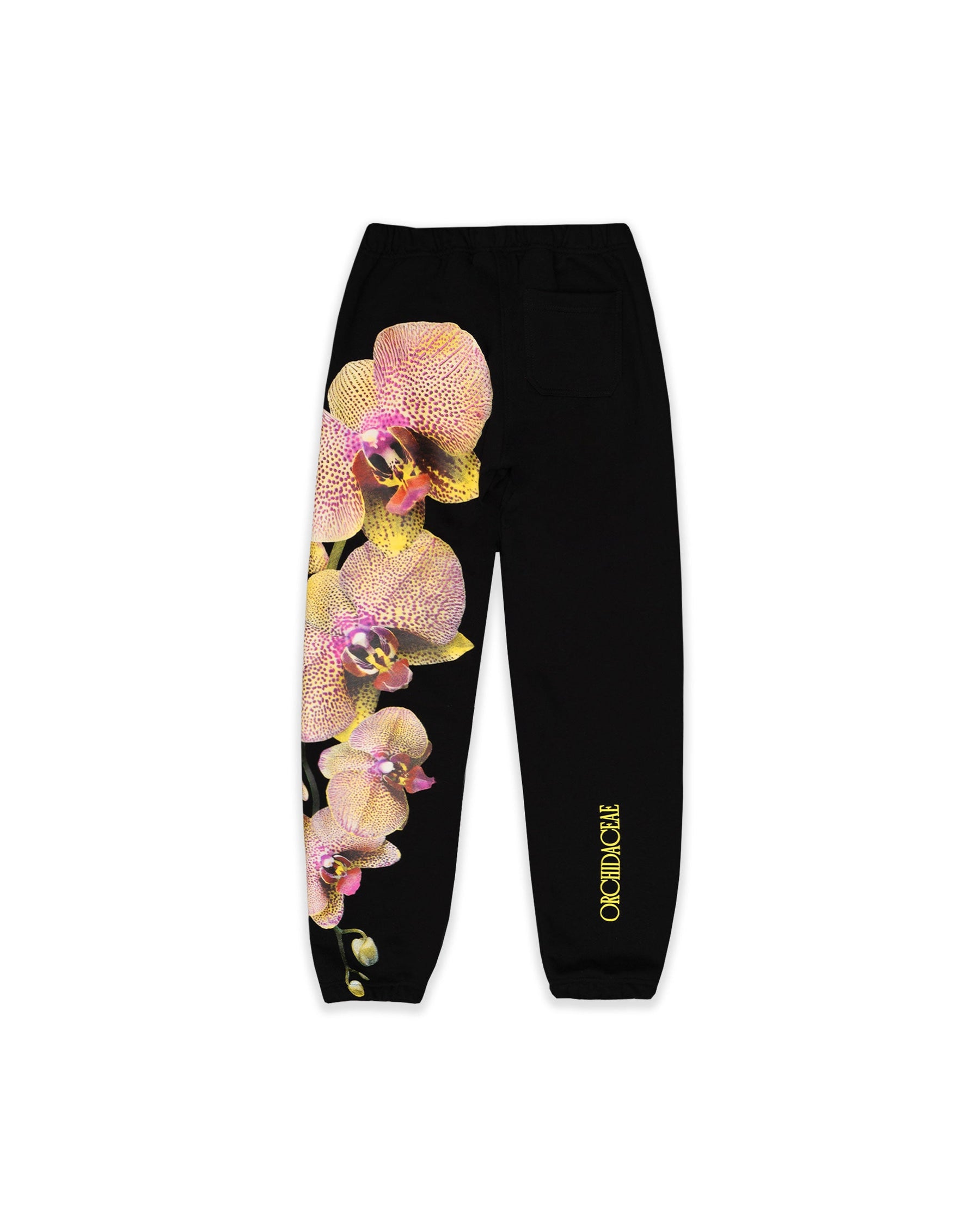 JOGGER  DREAMLAND FANTASY NEGRO